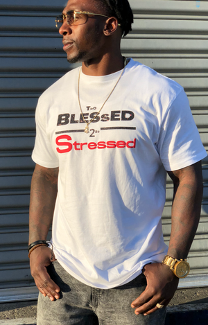 TOO BLESSED 2 BE STRESSED Men Shirt